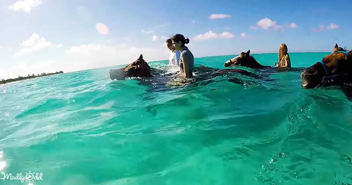People riding horses in clear turquoise water under a bright blue sky.