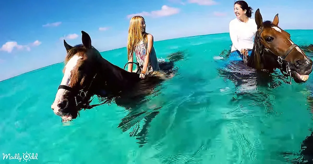 Two people riding horses in clear turquoise water under a bright blue sky.