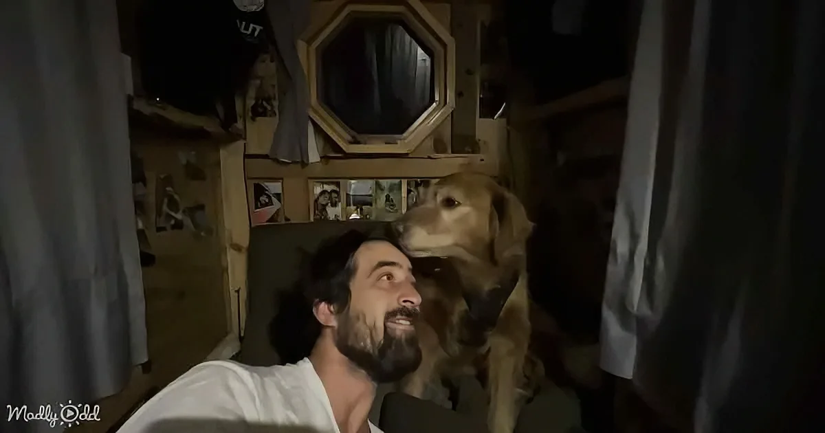 A man with a beard sits next to a golden retriever in a dimly lit room with a mirror and photos on the wall.