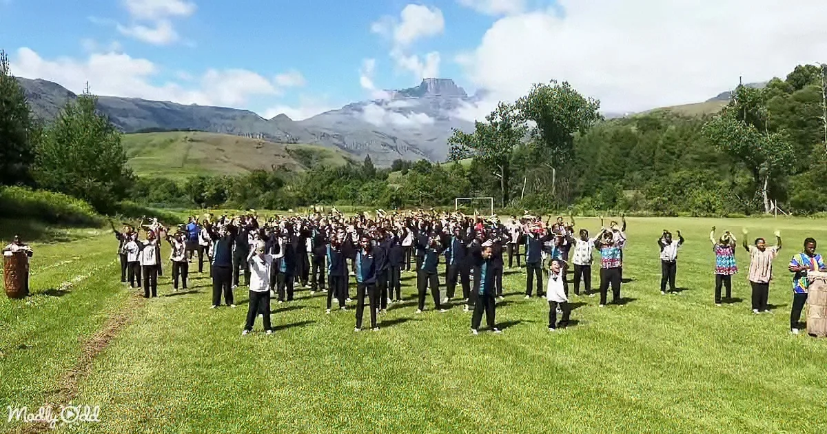 A large group of people in a field, raising their arms, with mountains and trees in the background.