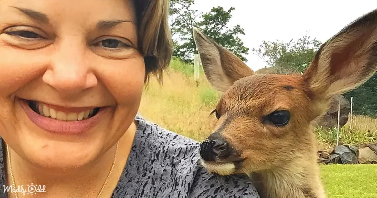 Orphaned Baby Deer Finds Love, Hope, & Family With Oregon Couple