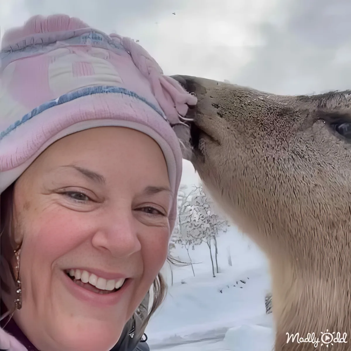 A woman in a pink hat smiles while a reindeer nuzzles her cheek in a snowy landscape.