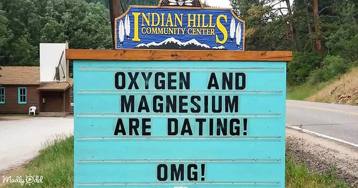 Viral & Funny