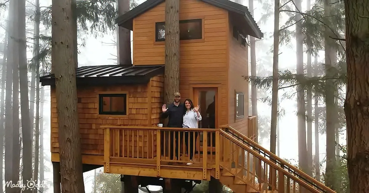 Treehouse Tiny Home Is Sleek, Modern, and Practical