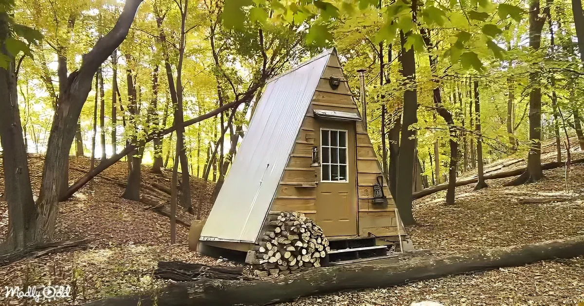 A small, triangular cabin with a metal roof sits in a forested area surrounded by autumn leaves.