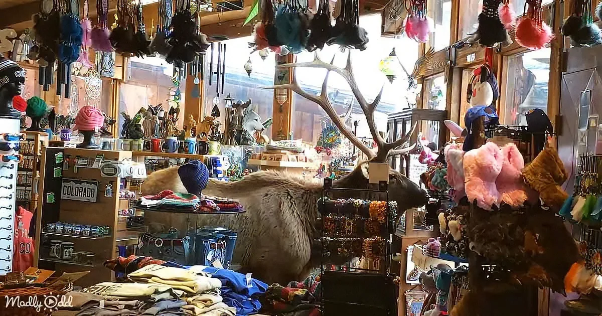 Giant bull elk