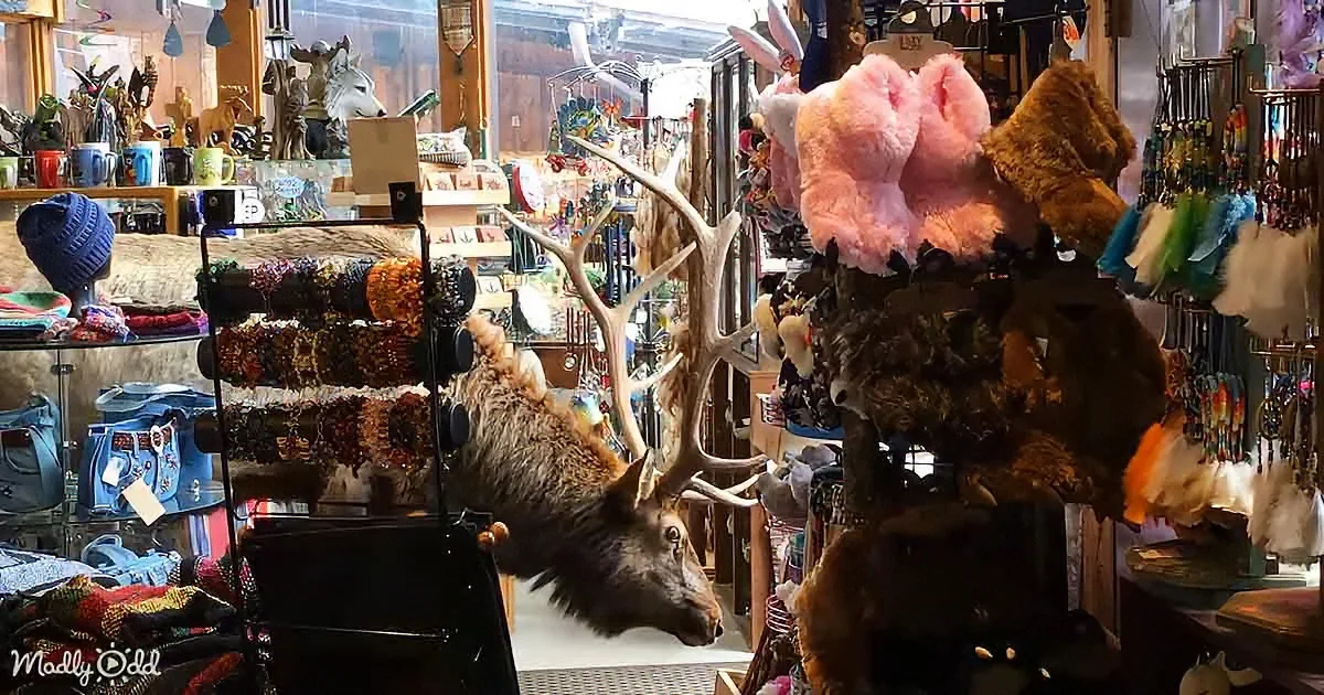 Giant bull elk