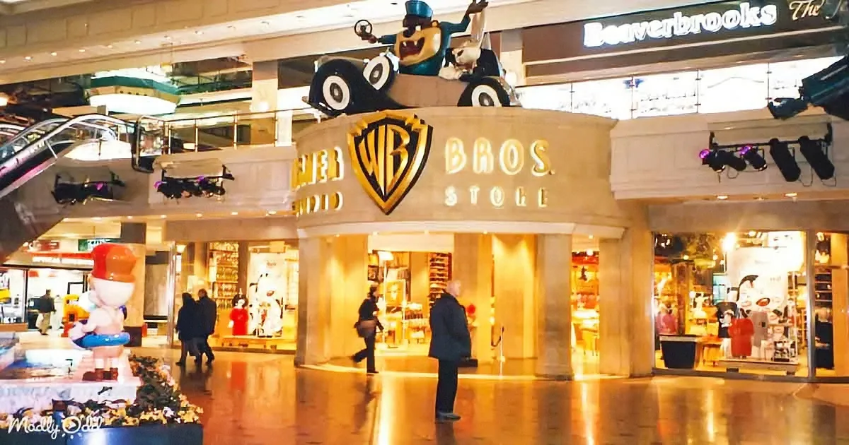 Mall Stores We Loved, but No Longer Exist!