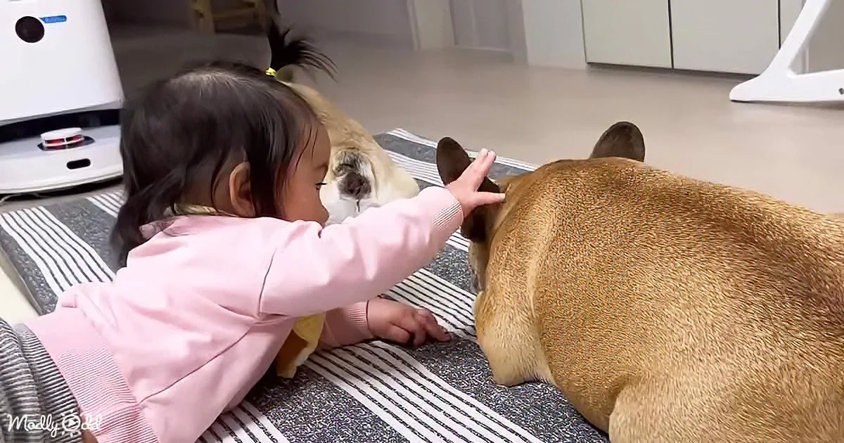 A child in pink interacts with a brown dog on a striped mat indoors.