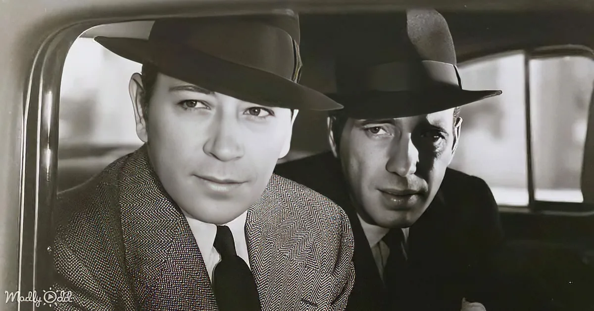 Two men in fedoras and suits sit in a car, looking serious.