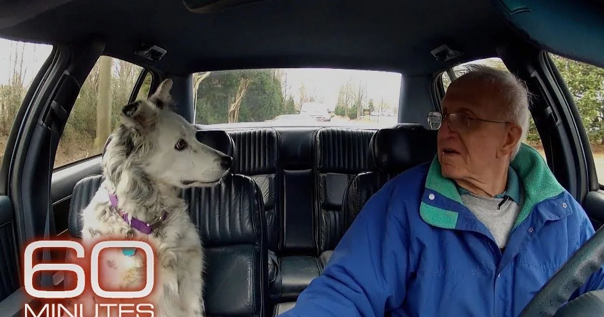 '60 Minutes' Interviews the Smartest Dog in the World With a 1,000-Word Vocabulary