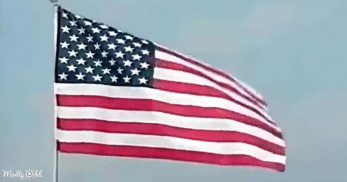 The American flag waving against a clear sky.