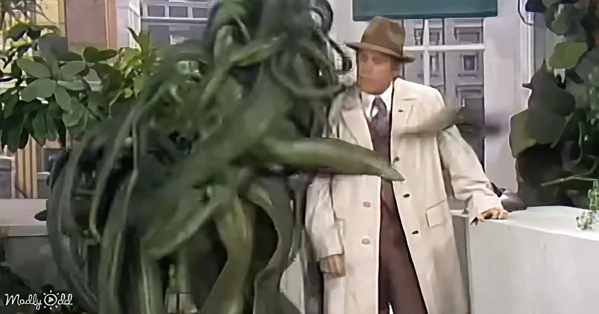 The Carol Burnett Show