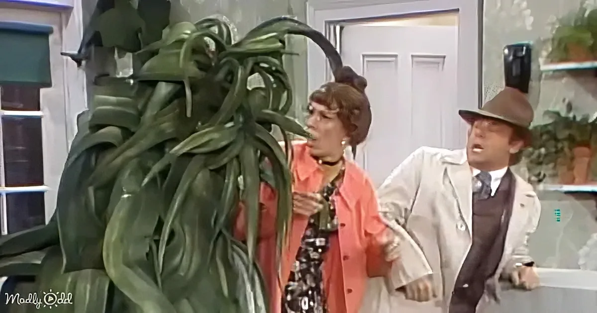 The Carol Burnett Show