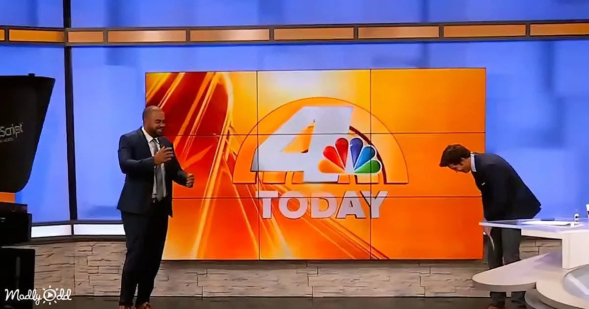 Hilarious news bloopers