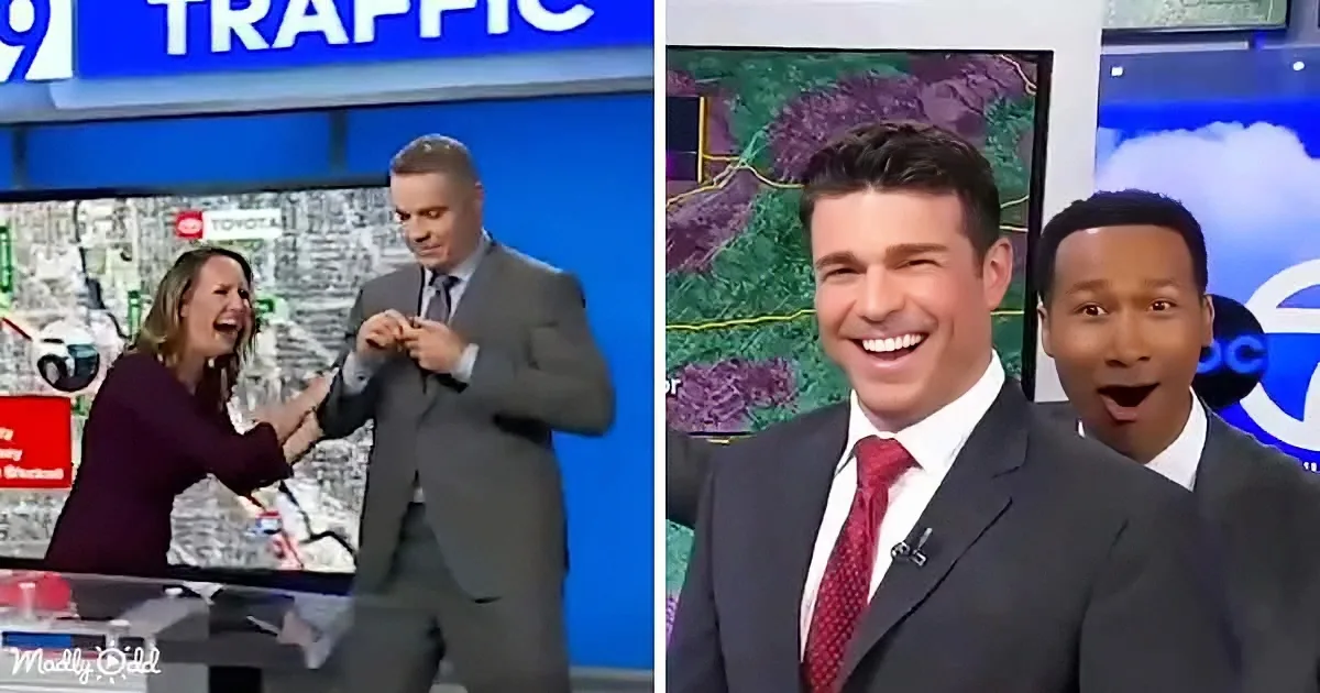 16 Minutes of Hilarious News Bloopers That Became Comedy Gold