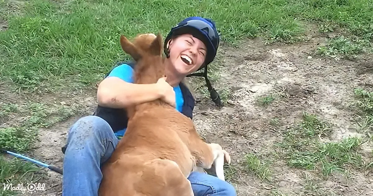 Get Ready for a Cuddle Session of Unforgettable Adorableness