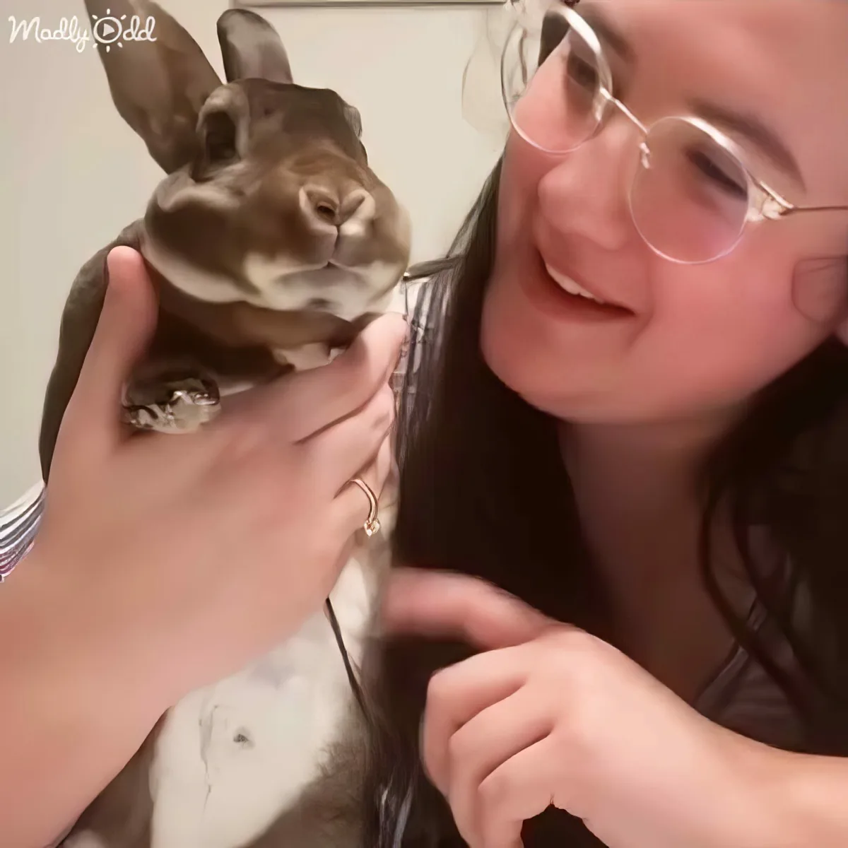 A person holds a small brown rabbit on their hand, smiling closely.