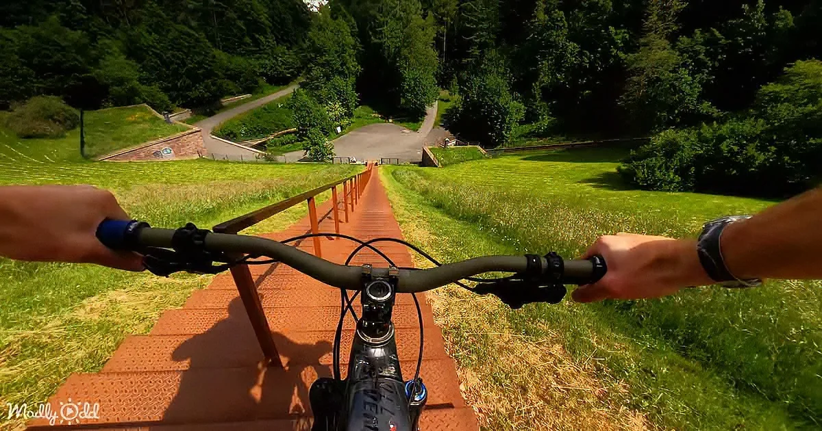 A cyclist rides a bike down a red brick path surrounded by lush greenery and trees.