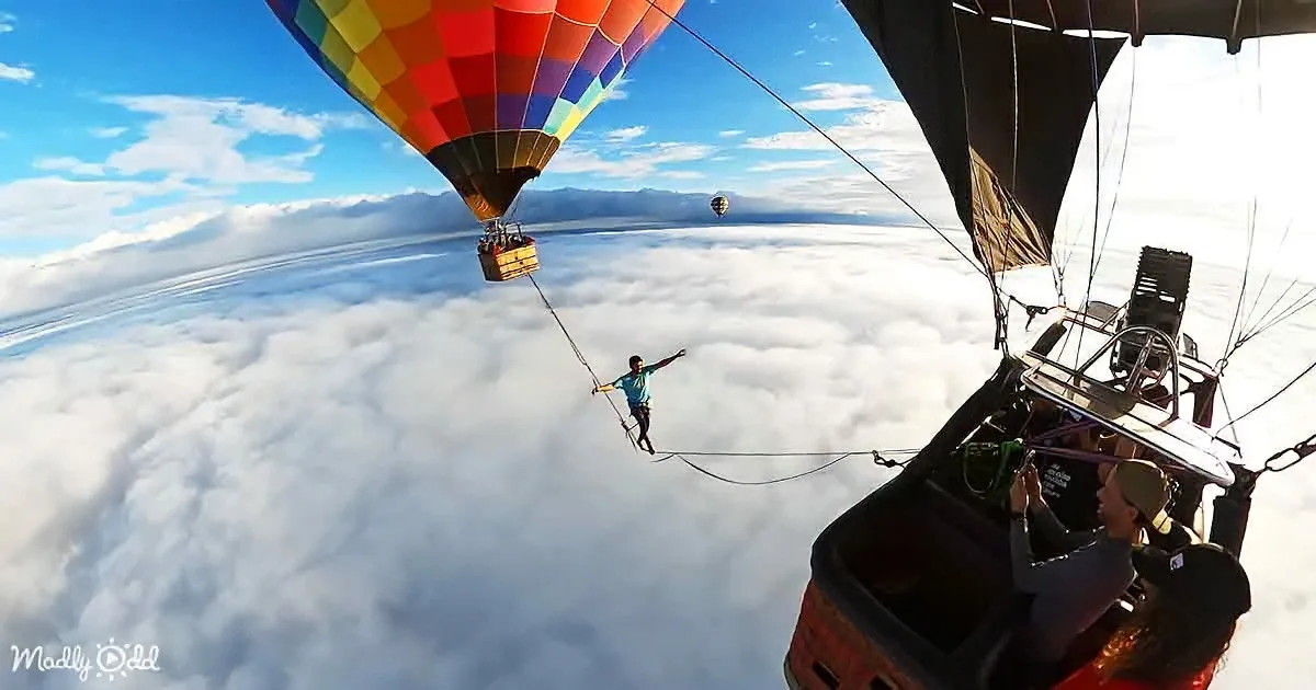 Wildest GoPro Footage of 2022's Stunts, Animals, and Adventures