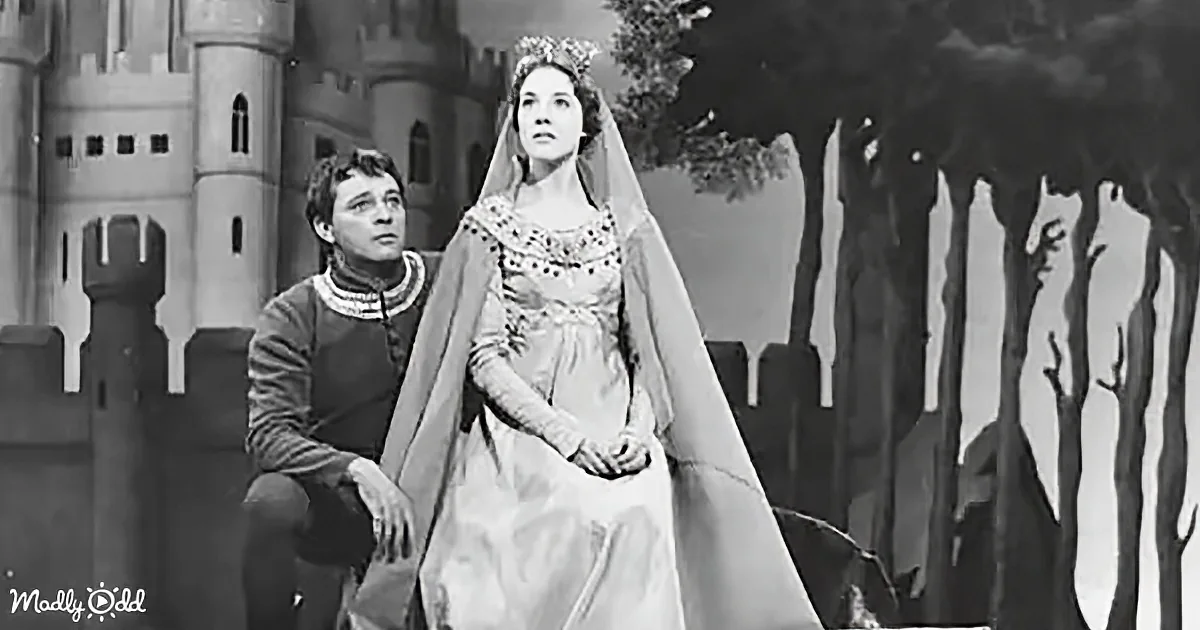 A woman in a medieval gown and veil stands beside a man in a tunic, with a castle and forest backdrop.