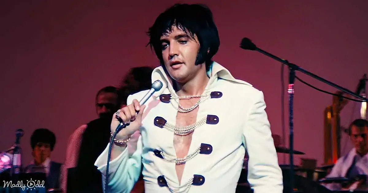 Elvis Presley Conducts the Orchestra With His Entire Body in 'Polk Salad Annie'