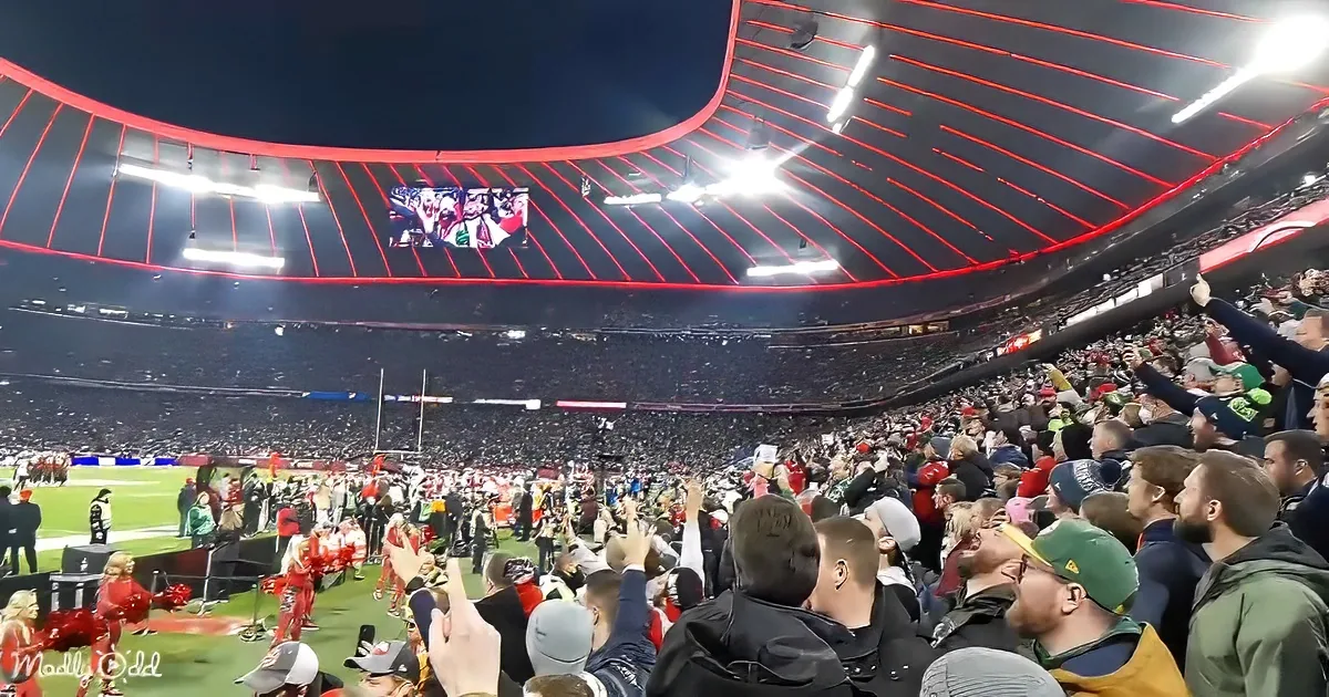 A cheering crowd in a stadium, with bright lights and a large screen showing a festive scene.