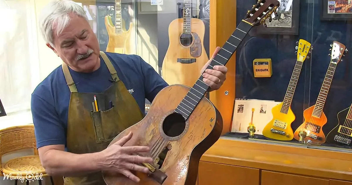 Willie Nelson's Guitar
