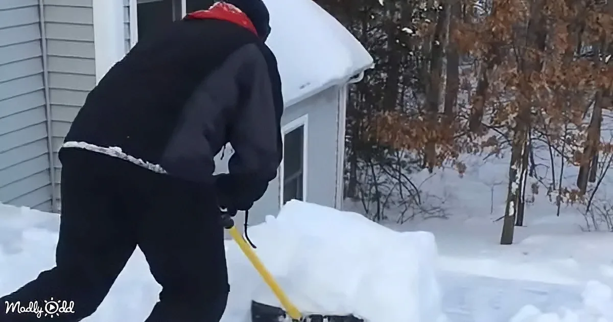 A person in winter gear shovels snow near a house with a snow-covered roof.