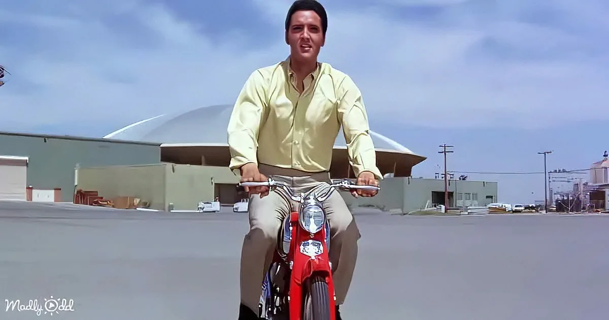 Elvis Presley - Viva Las Vegas
