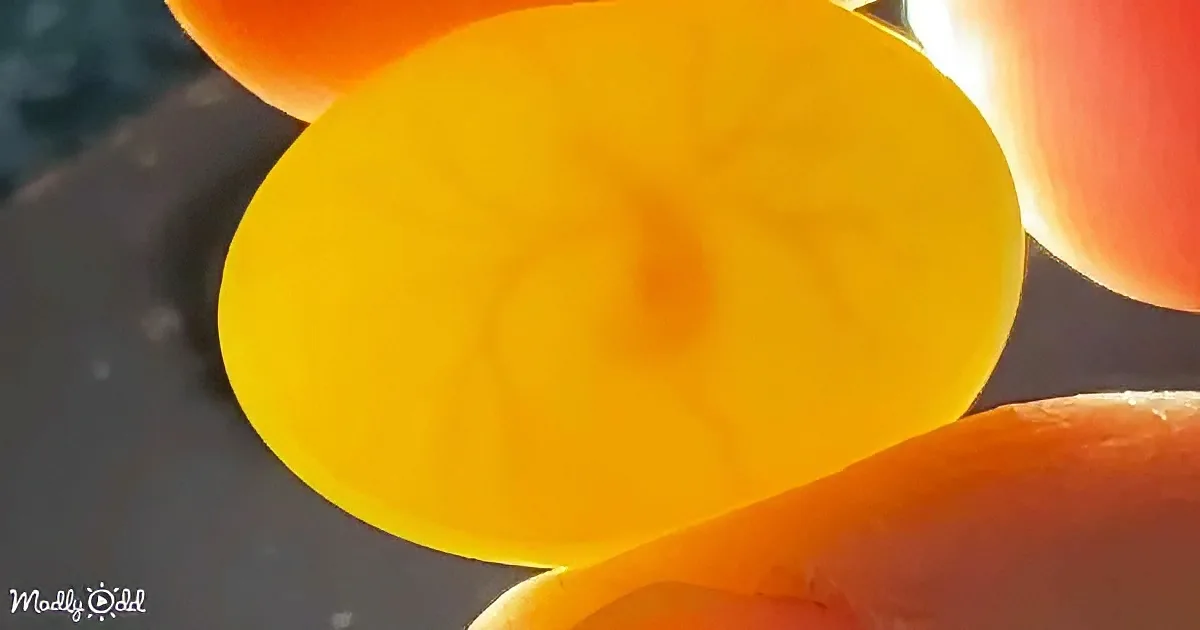 A close-up of a vibrant orange carrot slice with a central core, surrounded by other carrot pieces.