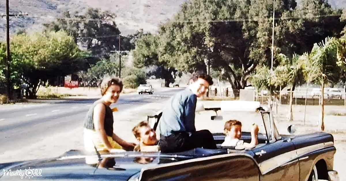 A family enjoys a sunny day in a vintage convertible car on a scenic road.