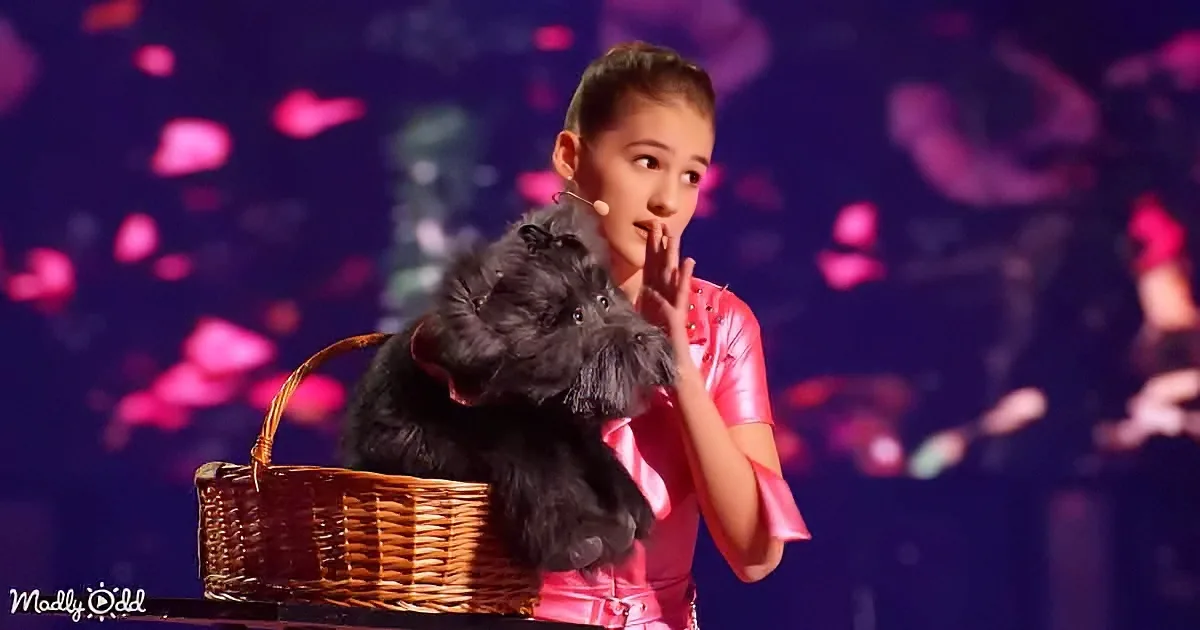 A person in a pink outfit holds a black dog in a wicker basket on stage with a colorful background.