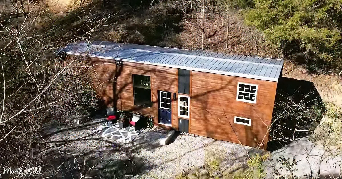 A rustic wooden cabin with a metal roof sits amidst a forested area, surrounded by bare trees and a gravel path.