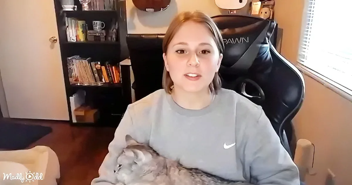 A person in a grey Nike sweatshirt sits in a black gaming chair, holding a cat, with a bookshelf and window in the...