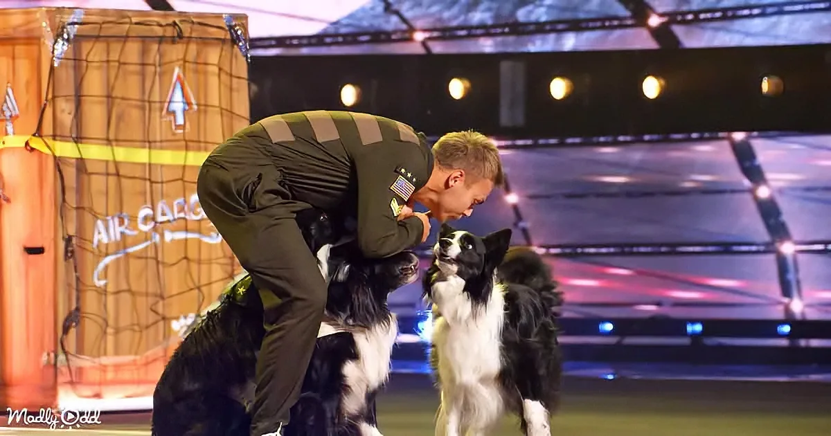 Dog Performance on AGT