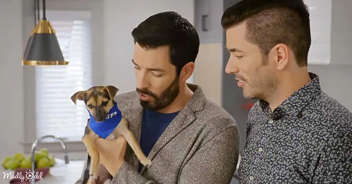 The Property Brothers Transform an Abandoned Pup Into a Puppy Bowl Champion