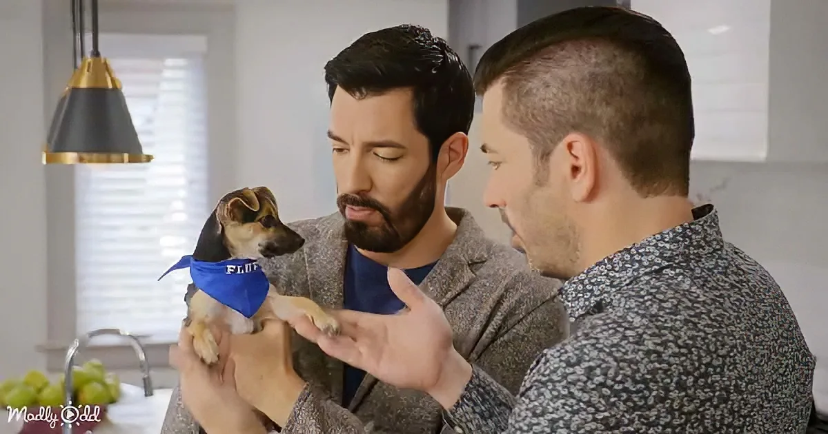Two men in a kitchen, one holding a small dog wearing a blue bandana.
