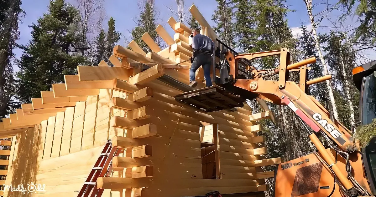 A Cozy Log Cabin