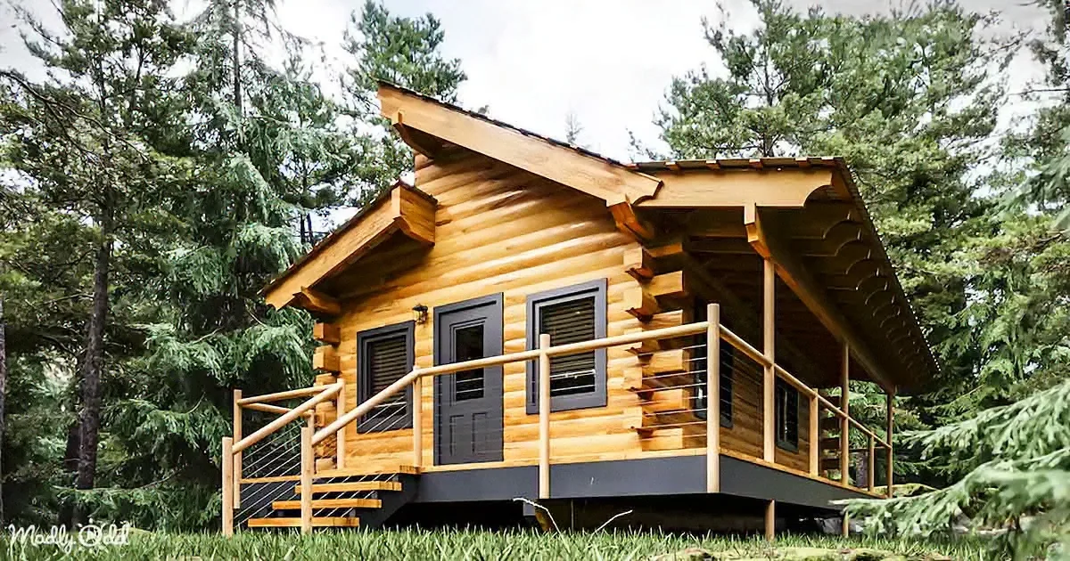 Grandfather & Grandson Bond & Build a Cozy Log Cabin