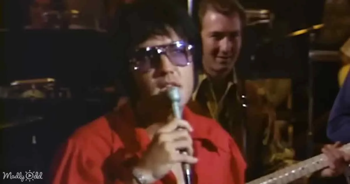 A person in a red shirt holds a microphone, wearing glasses, with a band member in the background.