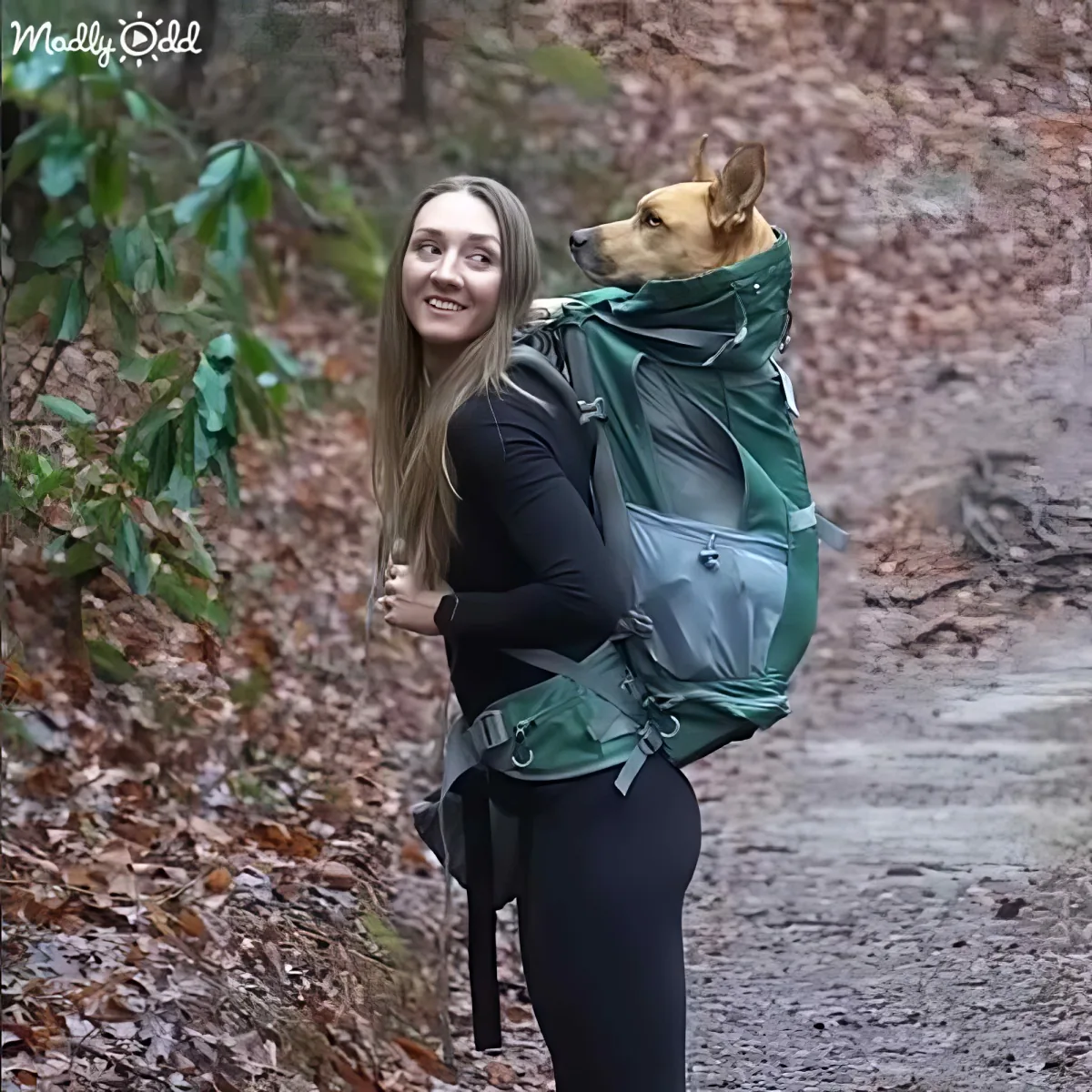 A woman carries a dog in a green backpack while hiking on a leaf-covered trail.