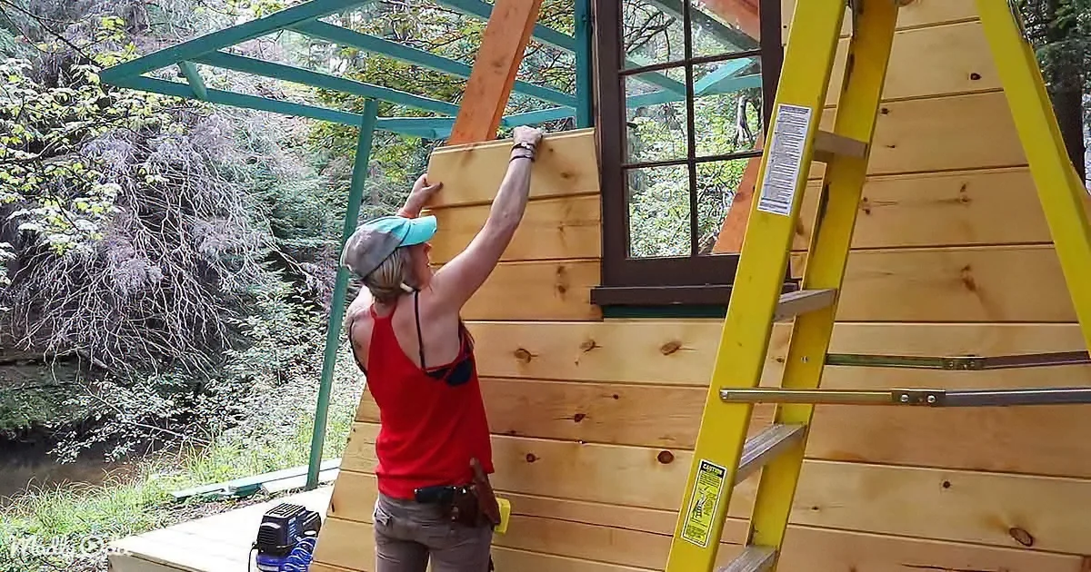 A person in a red tank top and cap works on a wooden cabin, placing a plank while standing on a yellow ladder.
