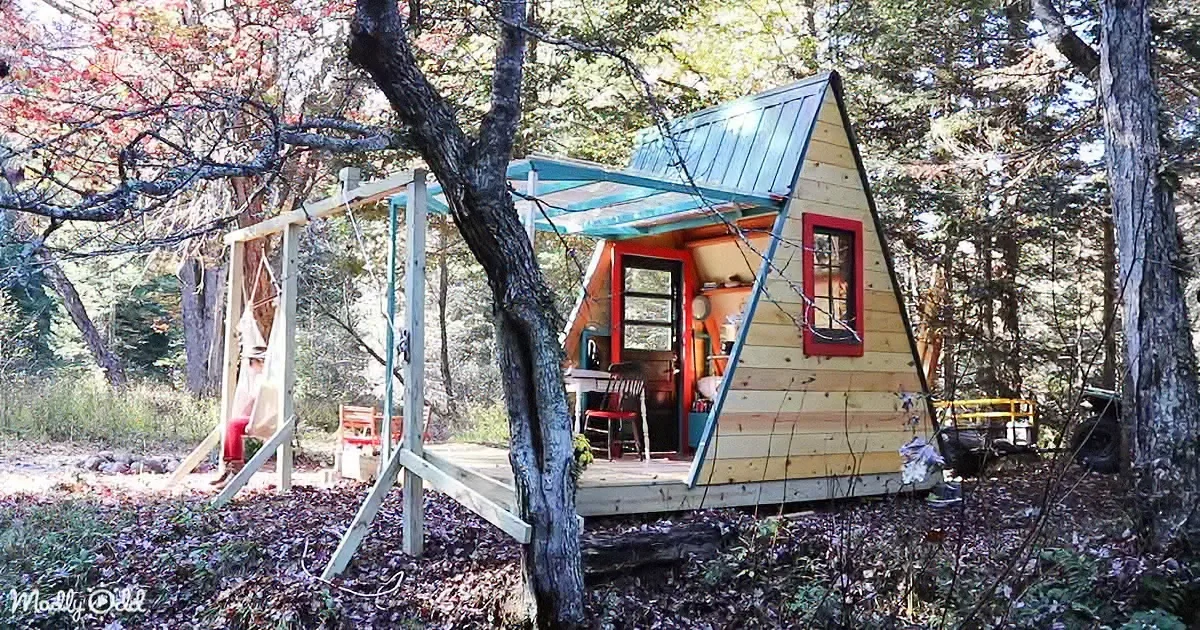 Woman Builds off-Grid Tiny Home Cabin of Her Dreams