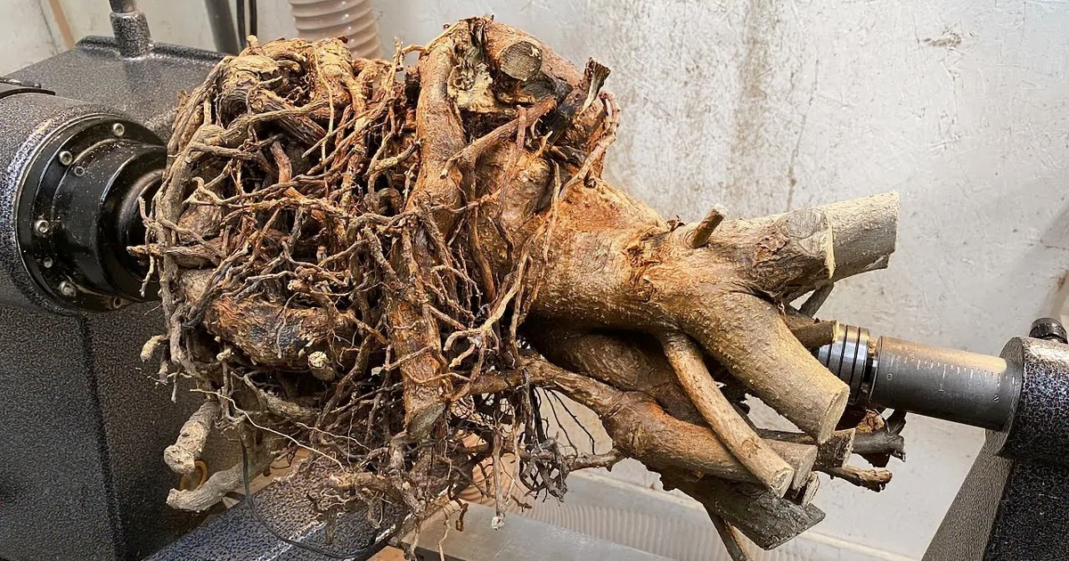 Woodworker's Unexpected 'Turn' of Events Made My Day