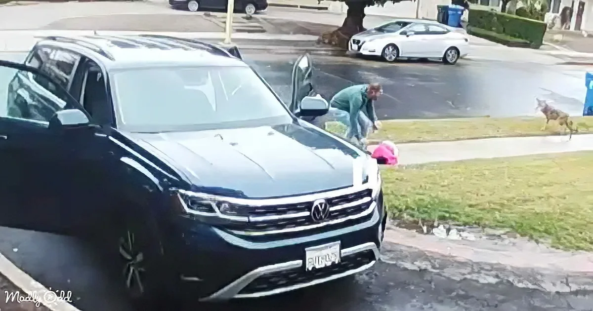 A man bends near a parked black Volkswagen SUV on a suburban street with a white car and a dog in the background.