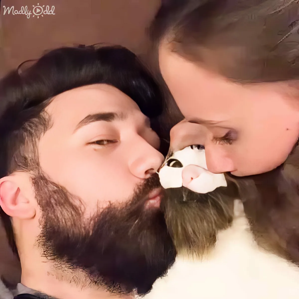 A man and a woman are kissing a cat on the nose, with the cat's fur blending with the man's beard.