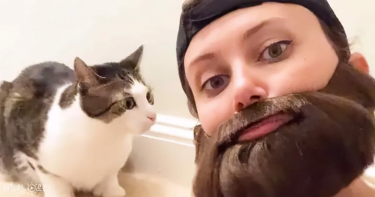Woman's Cat Adores Her Fake Beard