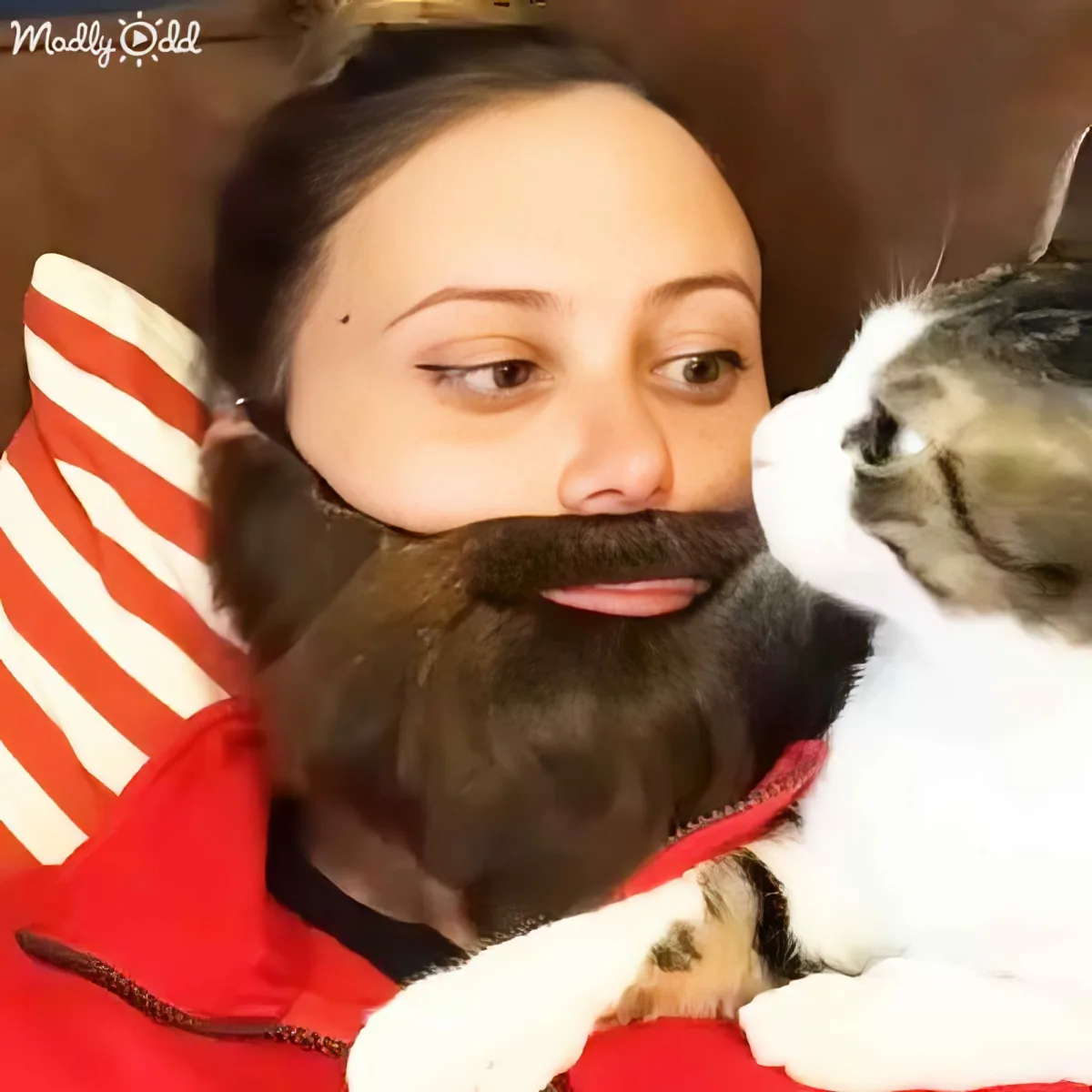 A woman with a cat beard holds a kitten, both wearing red jackets, in a cozy setting.