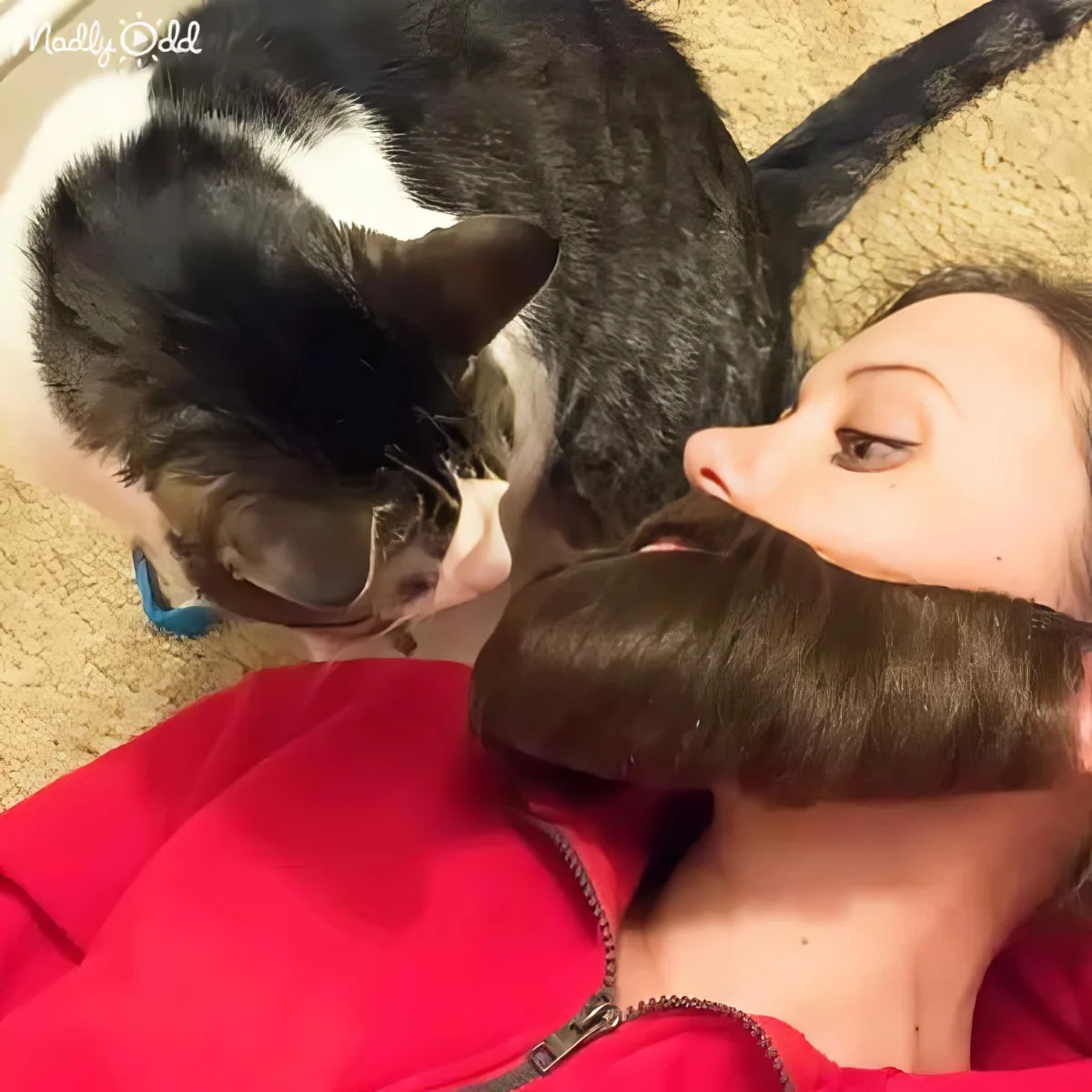 A woman in a red shirt lies on the floor, cuddling a black and white cat.